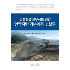 cir 為營建現場實務人員準備的軟弱地盤基本理論與實務, 朴泰英 等著