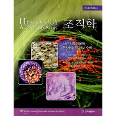 [군자출판사(교재)]조직학, 군자출판사(교재), Michael H.Ross 외 지음