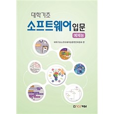 대학기초 소프트웨어 입문 (예체능), 노스보스, 대학기초소프트웨어입문편찬위원회 지음