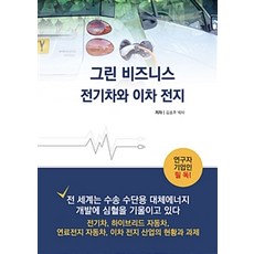 그린 비즈니스 전기차와 이차 전지, 비피기술거래, 김송호 지음