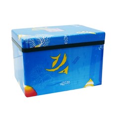 質感印花保冰箱, 魚紋20L, 20L