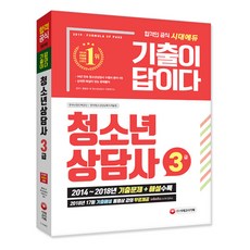 2019 청소년상담사 3급(기출이 답이다), 시대고시기획