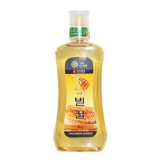 치악산벌꿀영농조합법인 치악산 사양 벌꿀, 1kg, 1개