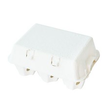 계란상자 에그박스 6구, 화이트, 10개