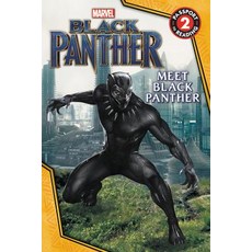 Marvel's Black Panther: Meet Black Panther Paperback, LB Kids
