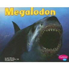 Megalodon Paperback, Capstone Press
