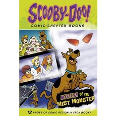 Mystery of the Mist Monster:, Stone Arch Books