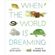 When the World Is Dreaming Hardcover, Houghton Mifflin