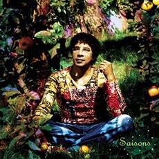 LAURENT VOULZY - SAISONS 수입반, 2CD