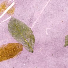 應用韓紙3 636*939mm, 葉葉01淺紫, 25件