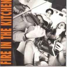 CHIEFTAINS - FIRE IN THE KITCHEN EU수입반, 1CD
