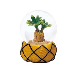 케이아이재팬 스노우 글로브 아데니움, 혼합 색상