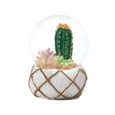 케이아이재팬 스노우 글로브 선인장과 아데니움, 혼합 색상