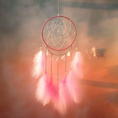 Life Point LP-DC012 月亮裝飾捕夢網, 粉紅色