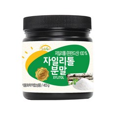 쏠비보 자일리톨 분말, 400g, 1개