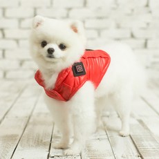골드브랜치 강아지 스마트발열 패딩조끼 + 보조배터리, 레드, 1개