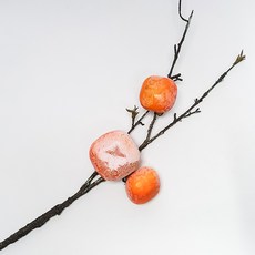 ALB仿真秋季柿子樹叢, 柿子