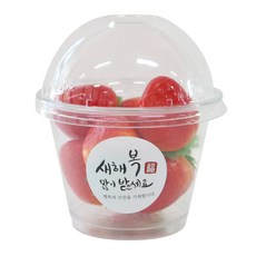 황씨네도시락 투명머핀컵 돔 50p + 새해복 스티커 원형 캘리 50p, 1세트