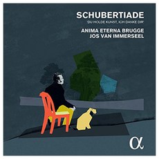 FRANZ SCHUBERT - SCHUBERTIADE/ ANIMA ETERNA BRUGGE JOS VAN IMMERSEEL EU수입반, 4CD