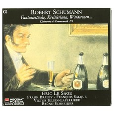 ROBERT SCHUMANN - KLAVIERWERKE & KAMMERMUSIK VOL.6/ ERIC LA SAGE EU수입반, 2CD