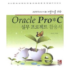 DB엔지니어와 개발자를 위한 ORACLE PRO C 실무 프로젝트 활용서, 비팬북스