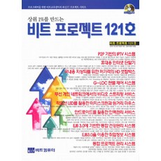 비트 프로젝트 121호, 비트컴퓨터