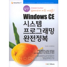 실전WINDOWS CE 시스템 프로그래밍 완전정복, D&W WAVE