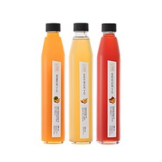 진저원 오리지널 진저YO 생강청 3종 세트, 1세트, 300ml, 1개