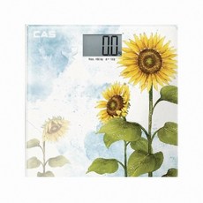 카스 디지털 체중계, HE-34, 혼합 색상