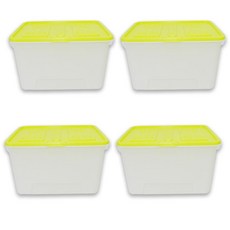 DECOSIN 收納盒 52L, 4件, 綠色