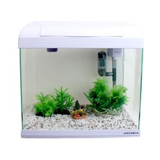 LEECOM XP300 仙人掌裝飾魚缸套組, 白色的