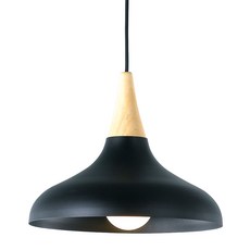 DAYSTAR HOUSE 素色燈罩式吊燈 A款 1號, 黑色