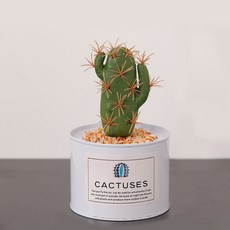 나이스마켓 노르딕 캔포트 조화 선인장 화분, 08, 1개