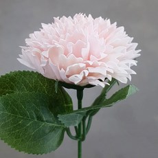 Black&White 香皂花康乃馨50p+葉花梗, 淺粉色