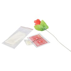 Partybok 魔法用品 1 張紙 + 蠟燭 + 卡片 + 花 MASUL03301, 1套