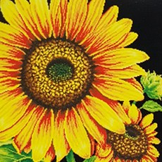 ZEZENEW 寶石十字繡 DIY 向日葵 3朵 大 B1010, 混合顏色, 1套