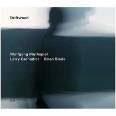 WOLFGANG MUTHSPIEL / LARRY GRENADIER / BRIAN BLADE - DRIFTWOOD 독일수입반, 1CD