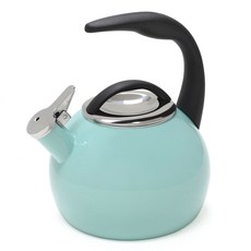 [쿠팡수입] 찬탈 에나멜 온 스틸 애니버서리 찻주전자, Aqua, 1.9L, 1개