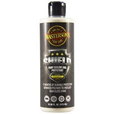 마스터슨 쉴드 페인트 실런트 앤 프로텍턴트 카페인트, 473ml, 1개