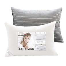 아임리빙 마일드 마이크로화이버 베개솜 + 베개커버, 차콜라인, 1개