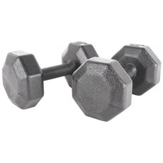 아리프 다이나믹 옥타곤 아령, 5kg, 2개