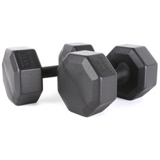 아리프 다이나믹 옥타곤 아령, 10kg, 2개