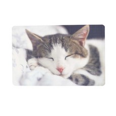 Redpuppy 貓圖案馬特貓白色