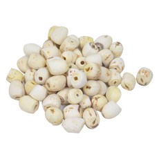 장명식품 연자육속씨, 600g, 1개