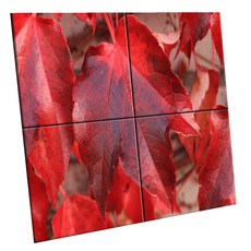 UDP 瓷磚畫框 C型 150 x 150 mm 4件組, 1套, 3809609