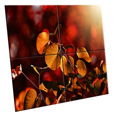 UDP 瓷磚畫框 C型 150 x 150 mm 4件組, 1套, 3841692