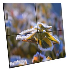 UDP 瓷磚畫框 C型 150 x 150 mm 4件組, 1套, 3911704