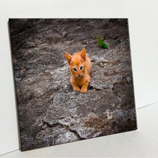 UDP 瓷磚畫框 A型, 3442257