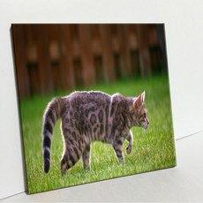 UDP 瓷磚畫框 A型, 3888650