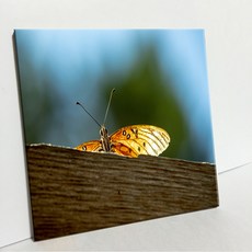 UDP 瓷磚畫框 A型, 3917776